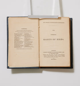 James Rennie 1830s Ornothological Studies