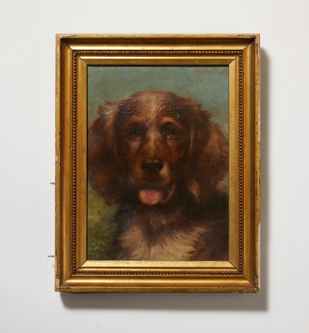 Spaniel Oil Portrait