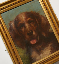 Load image into Gallery viewer, Spaniel Oil Portrait
