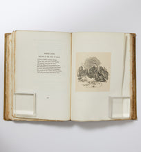 Load image into Gallery viewer, &quot;John Gay: Biography and the Fables&quot;
