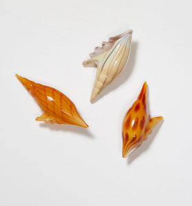 Murano Glass Shells